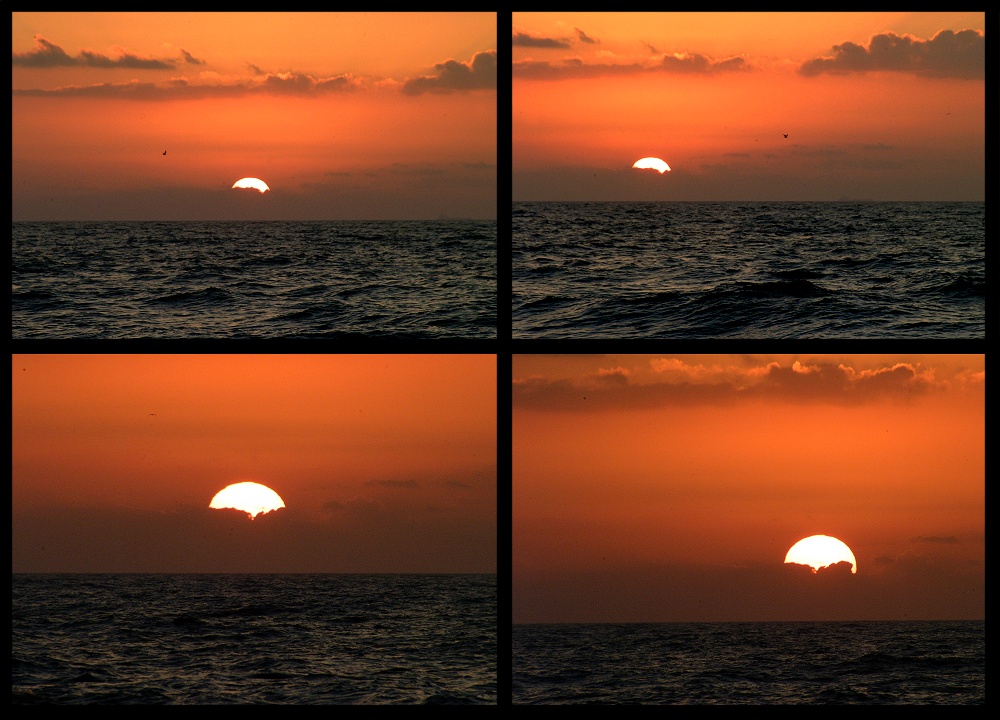 (09) dawn montage.jpg   (1000x720)   246 Kb                                    Click to display next picture